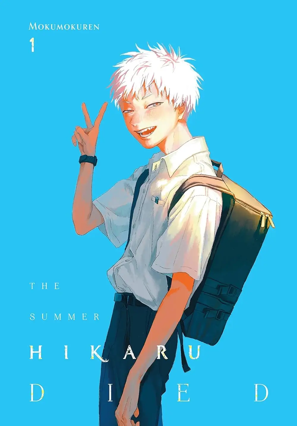 The Summer Hikaru Died cover